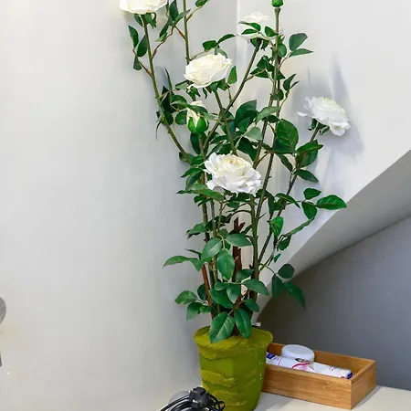 Appartement Deluxe Maisonette With Private Jacuzzi